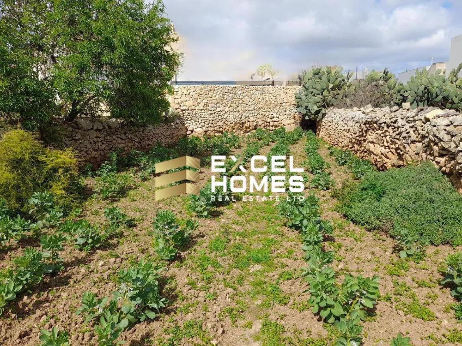 feedimg_0ibvog7dro8m2zFtKut