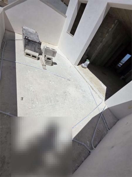 feedimg_8kf6g45lpja9435vemQ